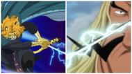 Elemental swordsmanship in One Piece (Image via Shueisha)